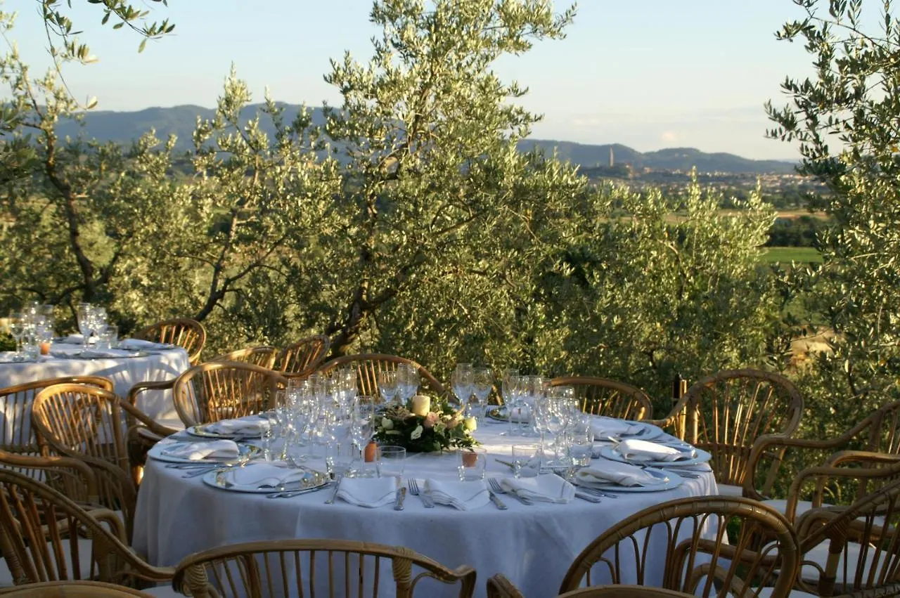 Farm stay Il Palazzo - Agriturismo, Winery Arezzo