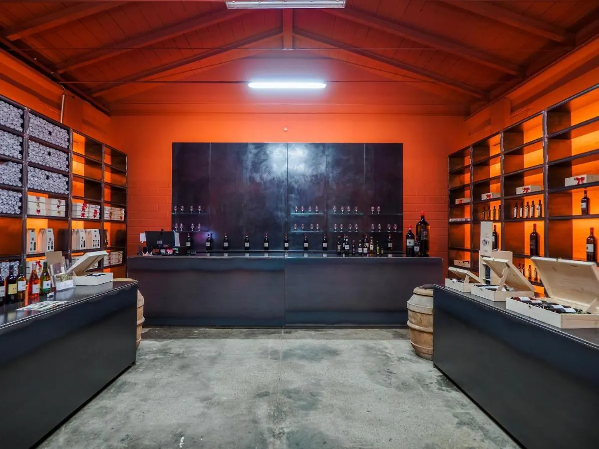 Farm stay Il Palazzo - Agriturismo, Winery Arezzo