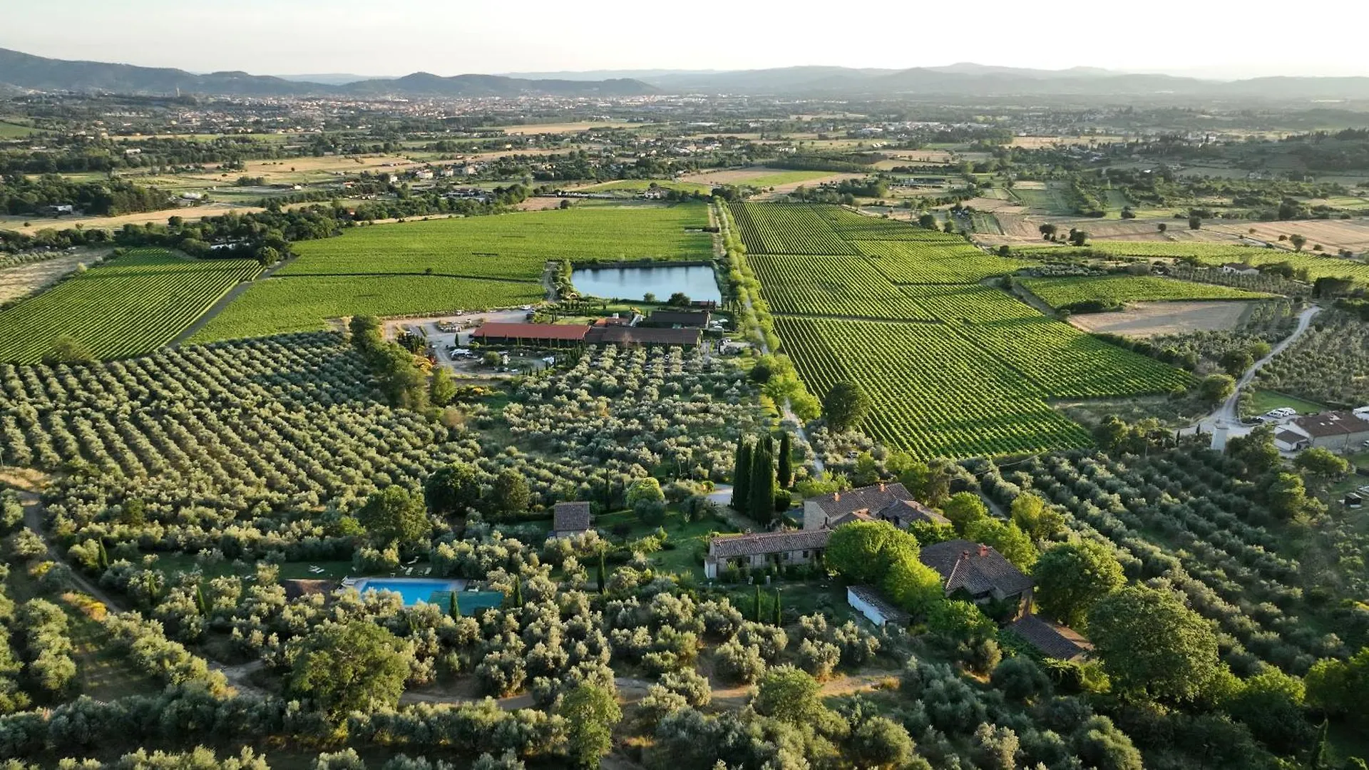 Il Palazzo - Agriturismo, Winery Arezzo