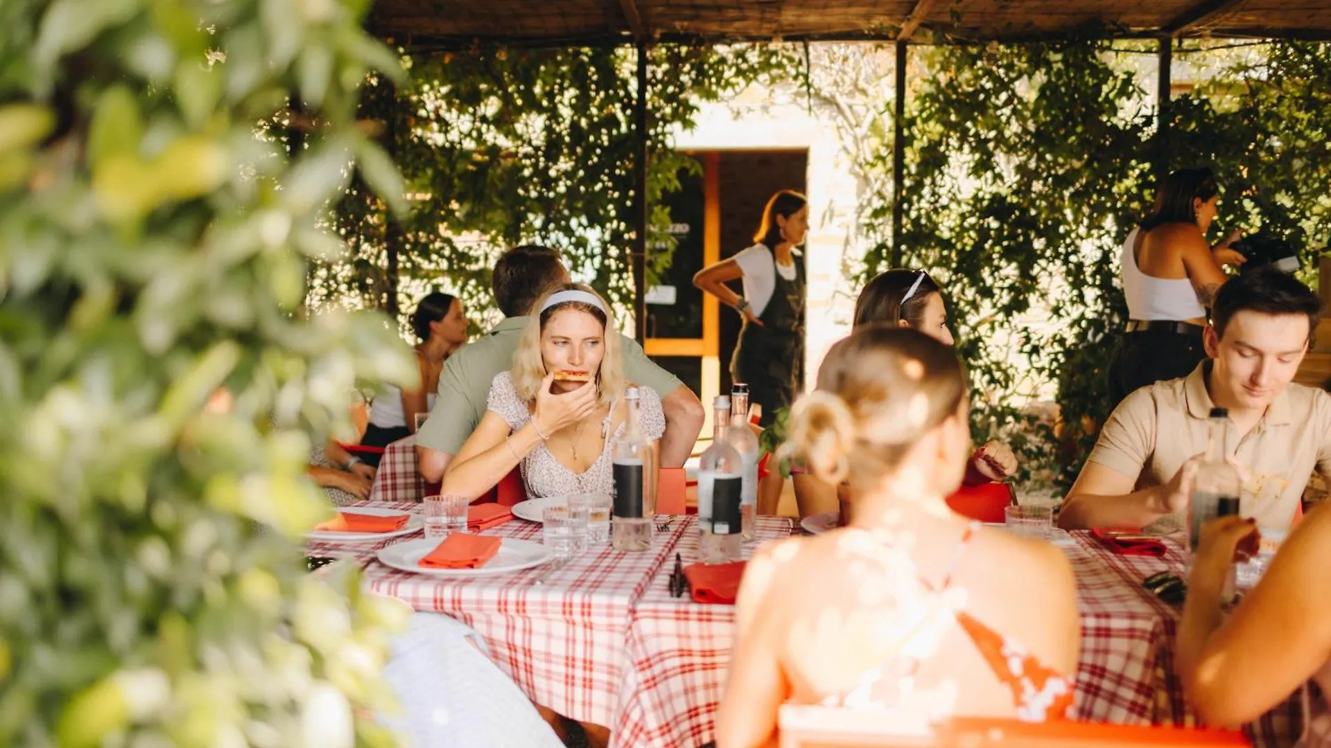 Il Palazzo - Agriturismo, Winery Arezzo Italy