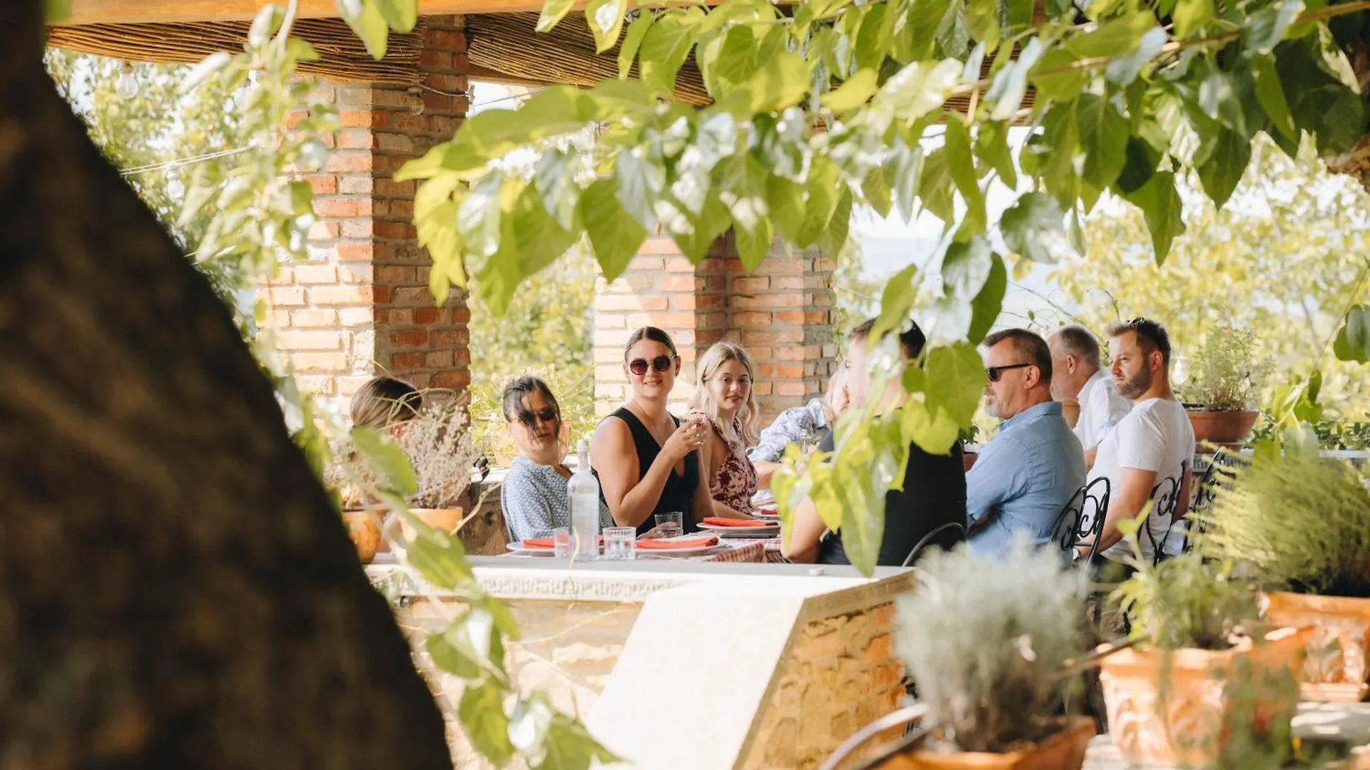 Farm stay Il Palazzo - Agriturismo, Winery Arezzo