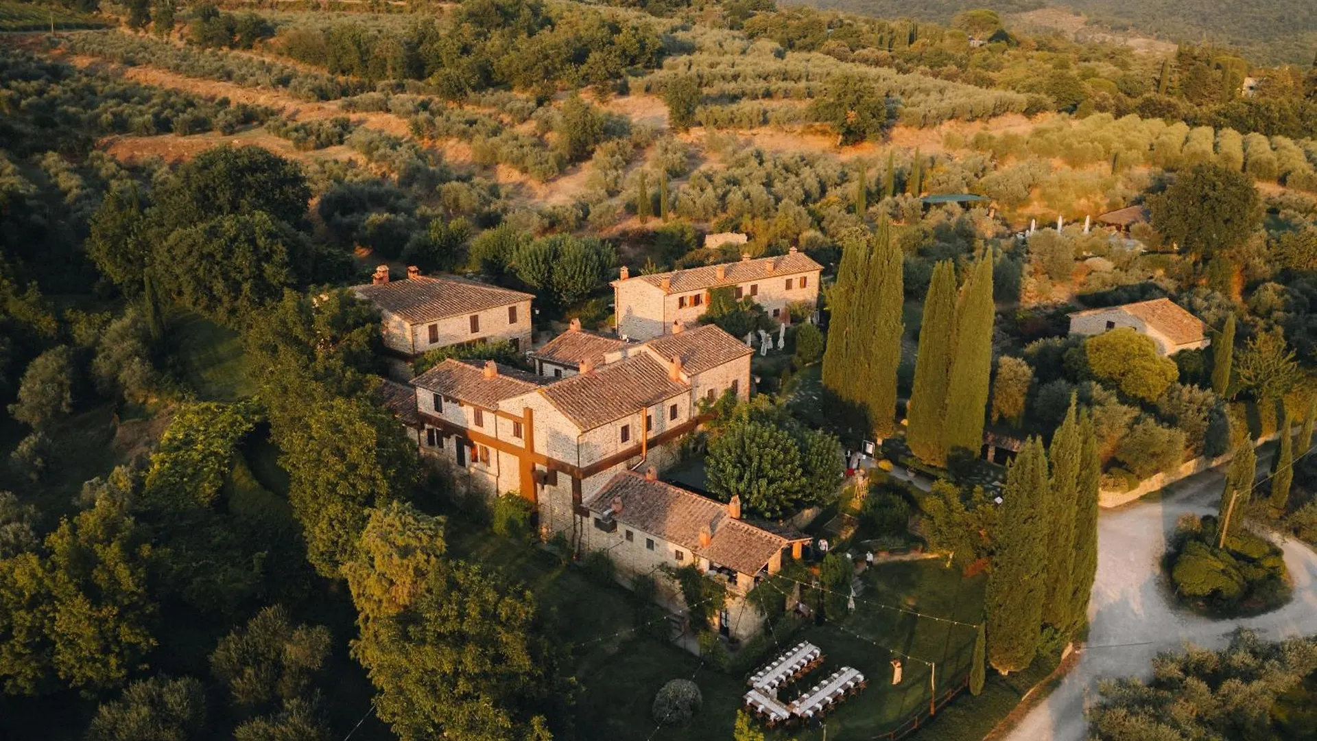 Farm stay Il Palazzo - Agriturismo, Winery Arezzo