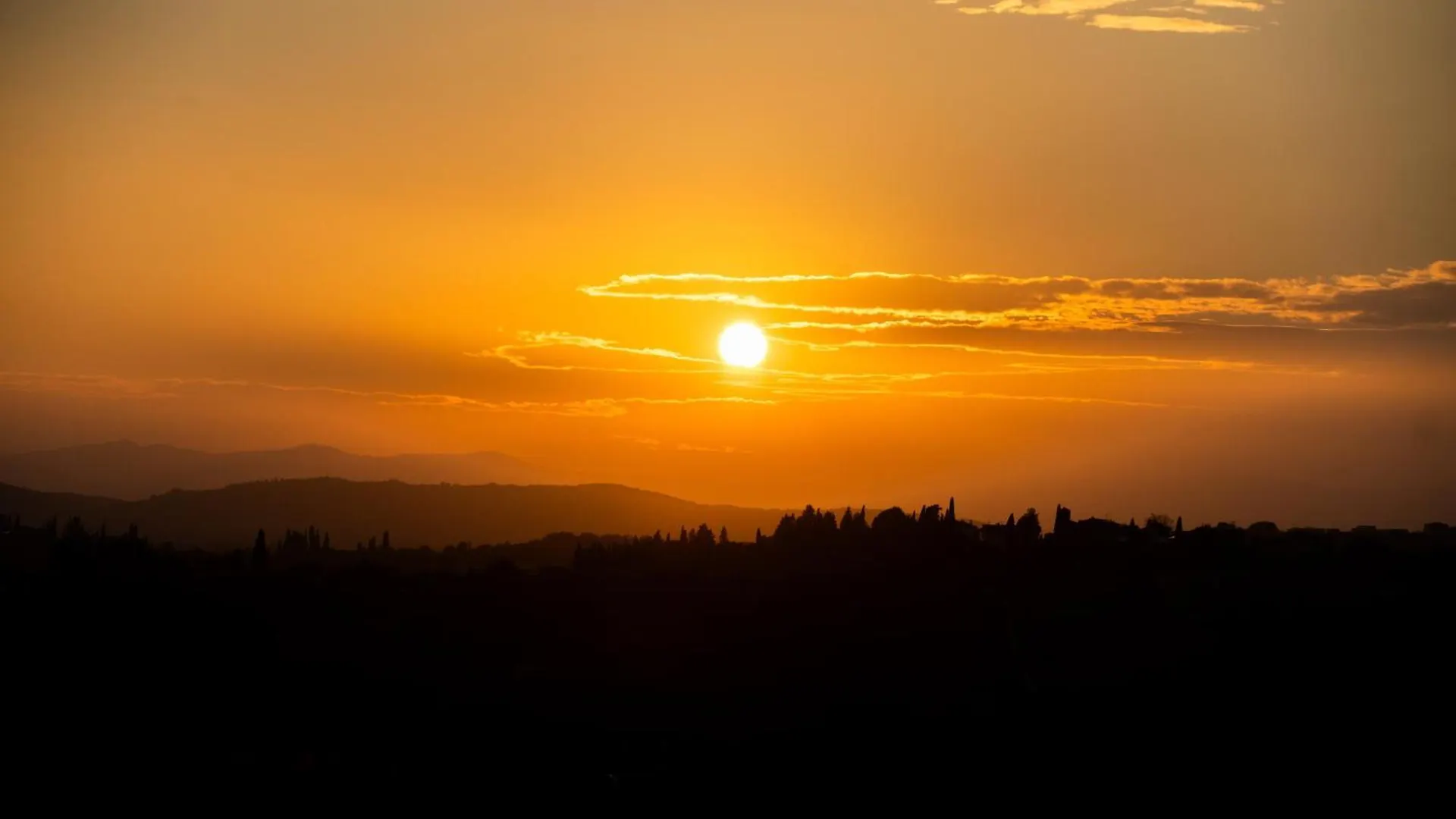 Farm stay Il Palazzo - Agriturismo, Winery Arezzo Italy
